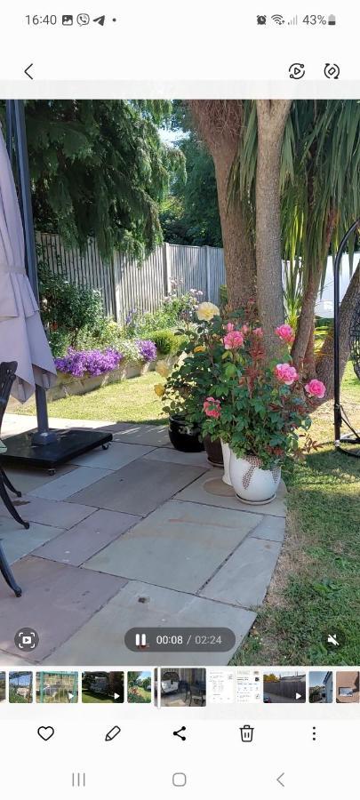 Knockrobin Cottage Wicklow Ngoại thất bức ảnh